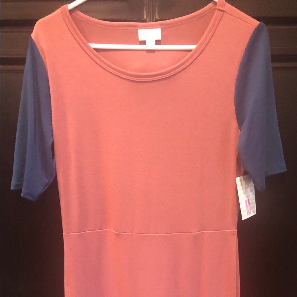 LuLaRoe form fitting dress (Julia)